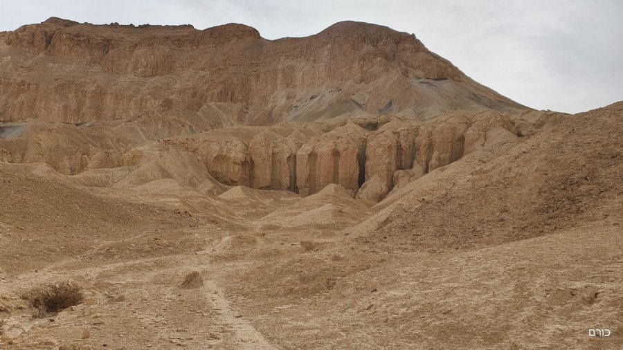 עמודי אבן במורד מעלה נחש צמא
